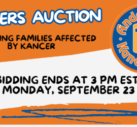 Anders Jam Auction – 2024